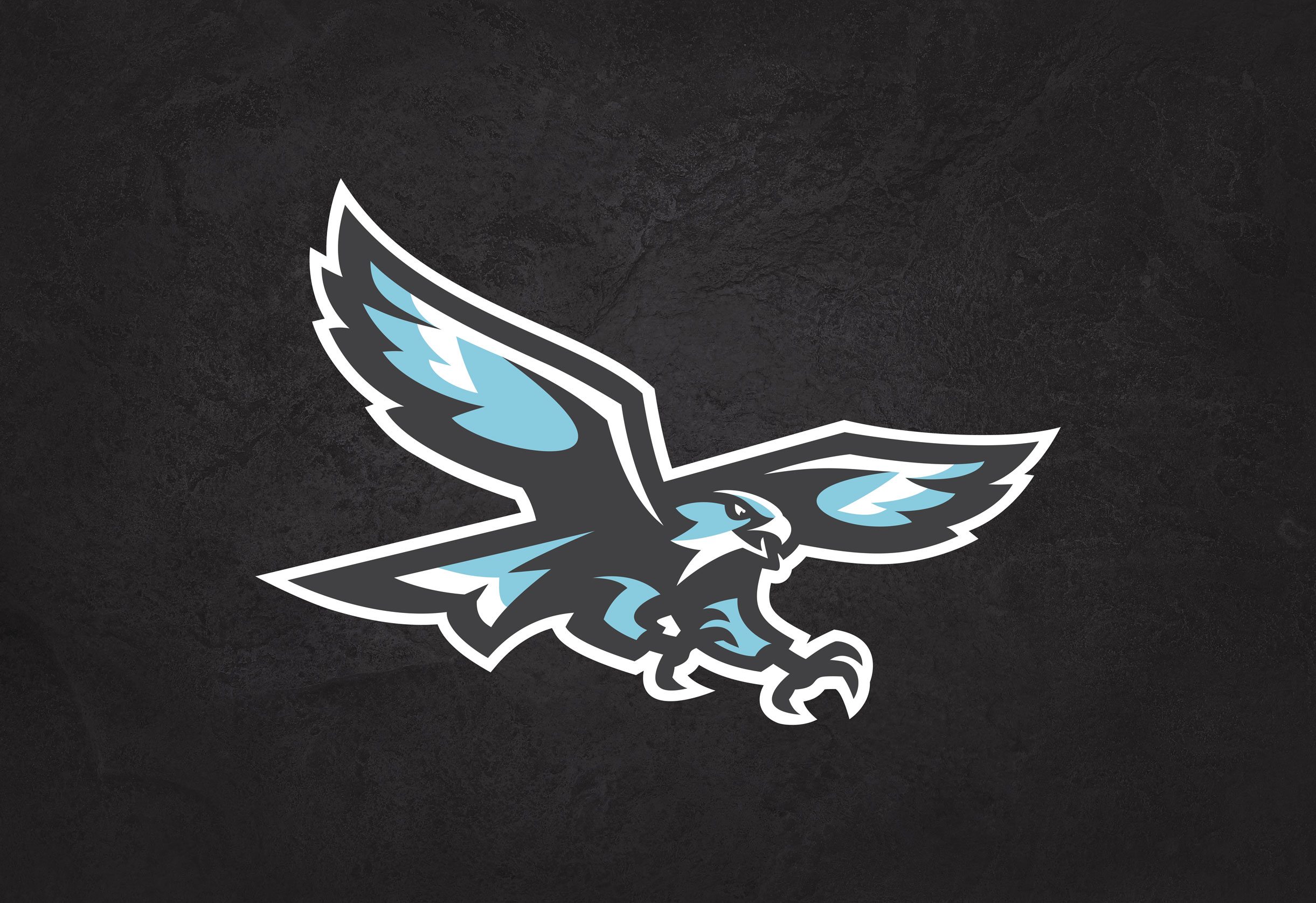 nighthawk logo