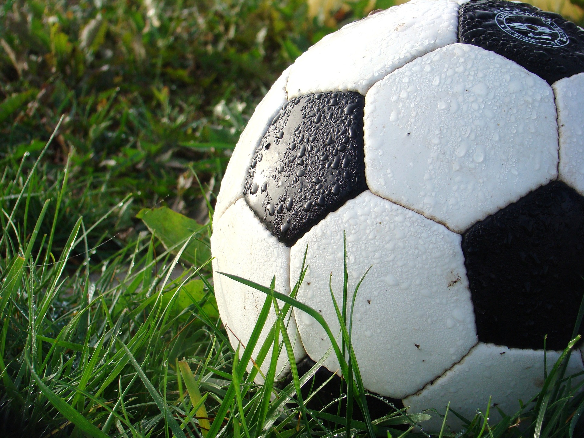 Close up of soccer ball in wet grass