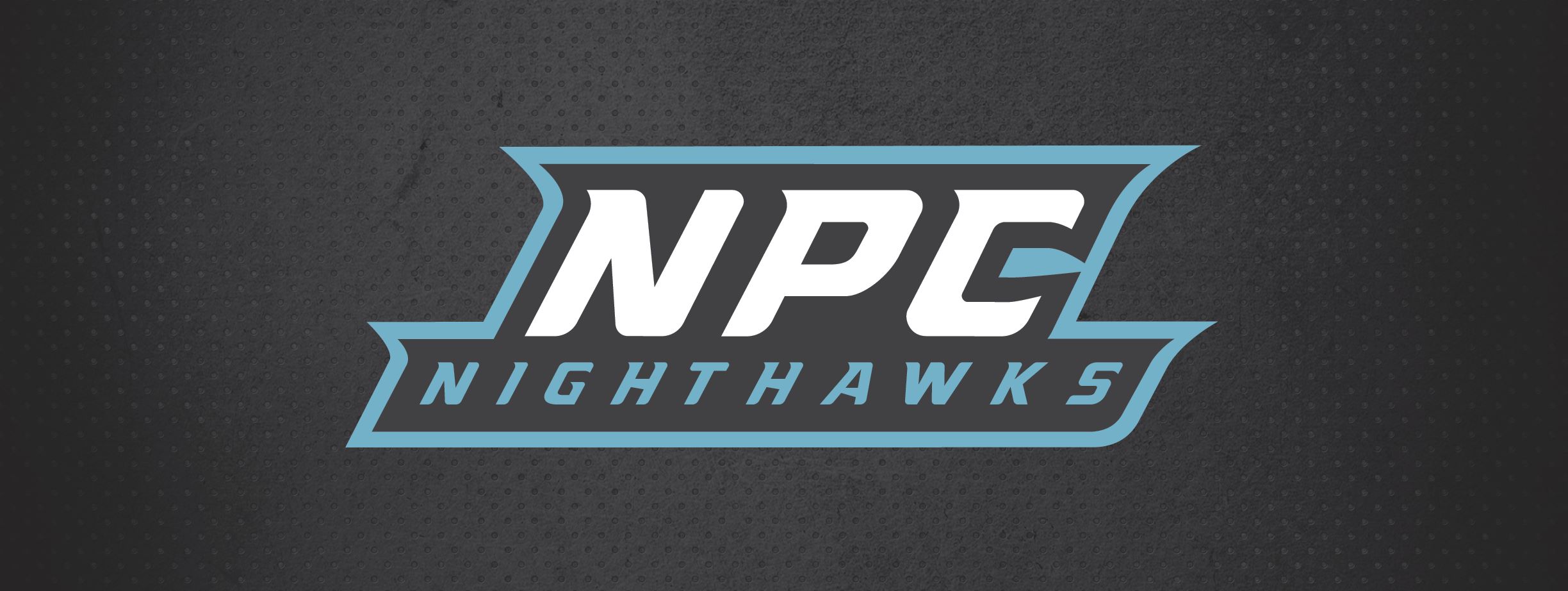 NPC Nighthawk logo