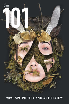 Cover photo for the 101 poetry and art emag