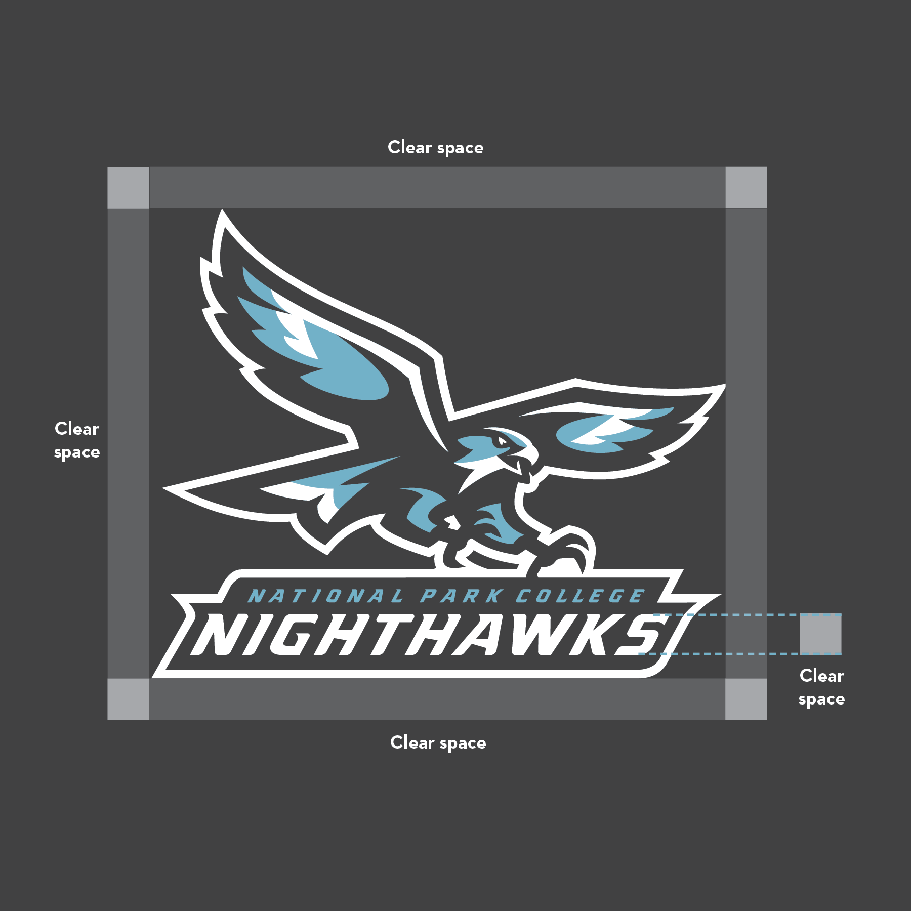 clear space nighthawk logo