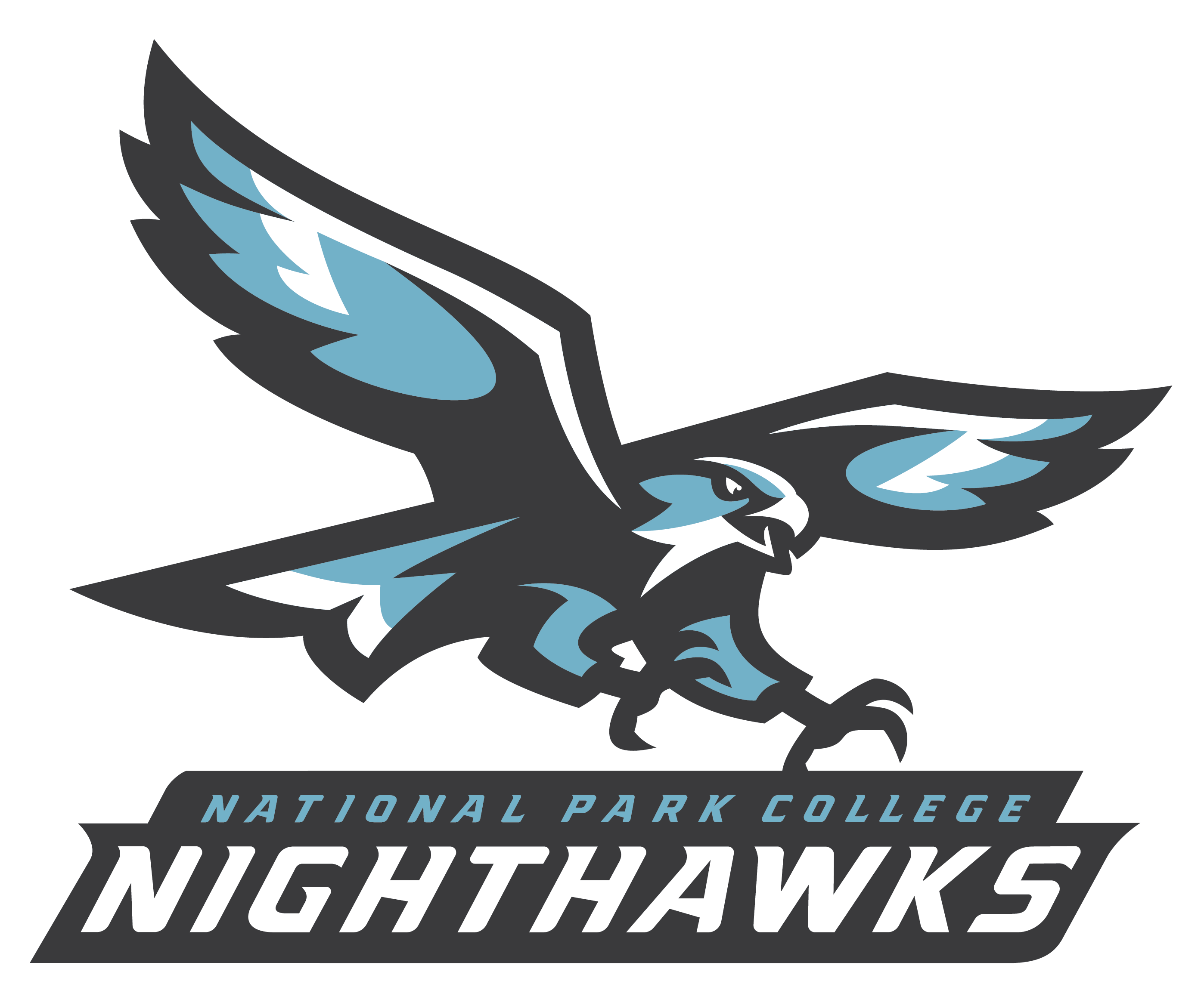 Nighthawk primary logo