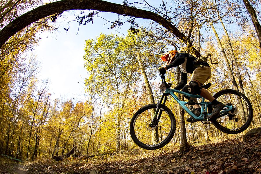 Bike riding on wooded trail