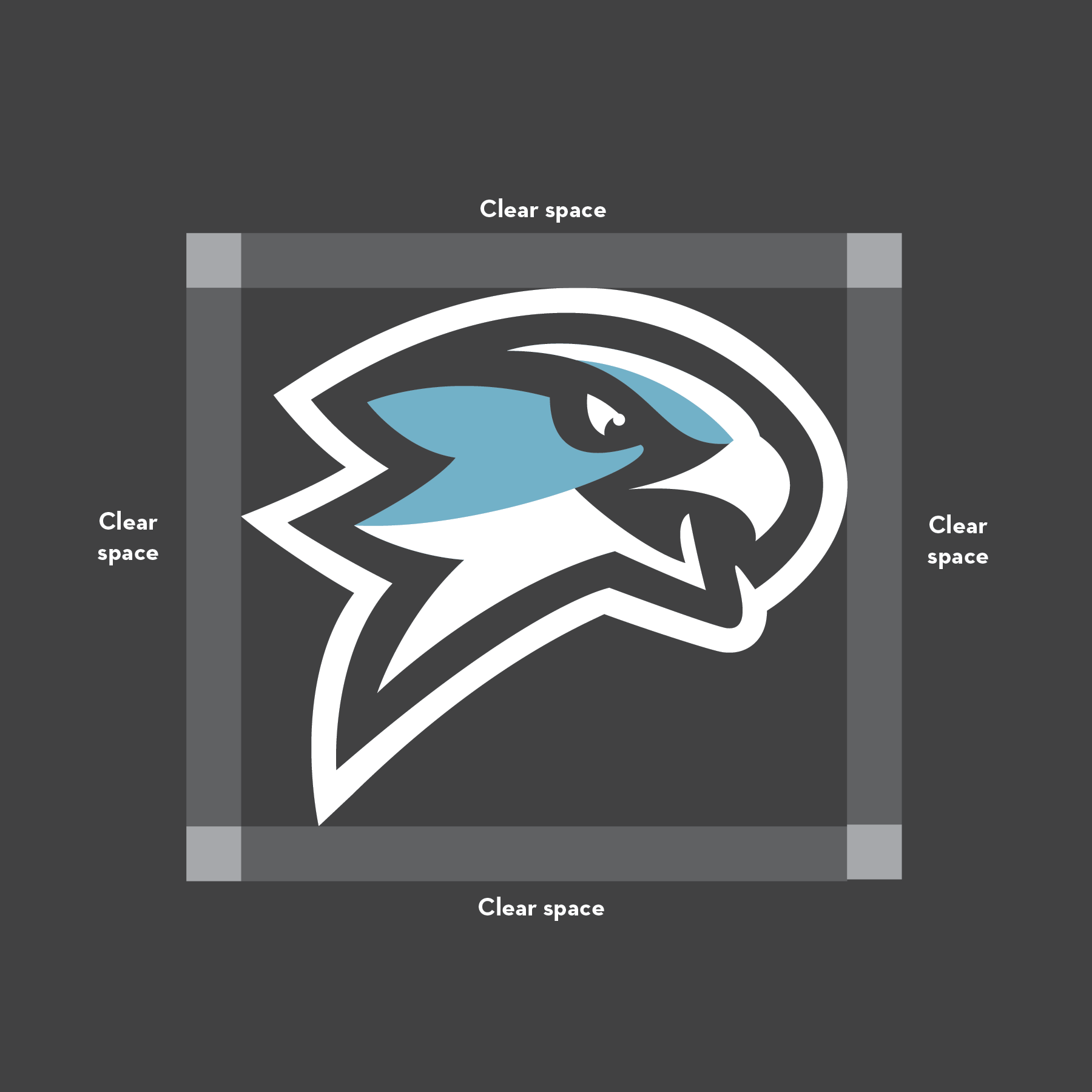 clear space nighthawk head logo