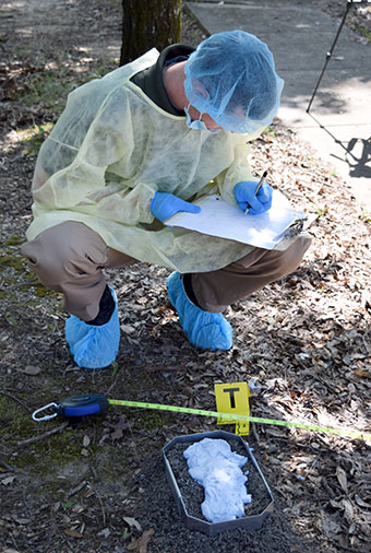 Students study crime scenes for clues